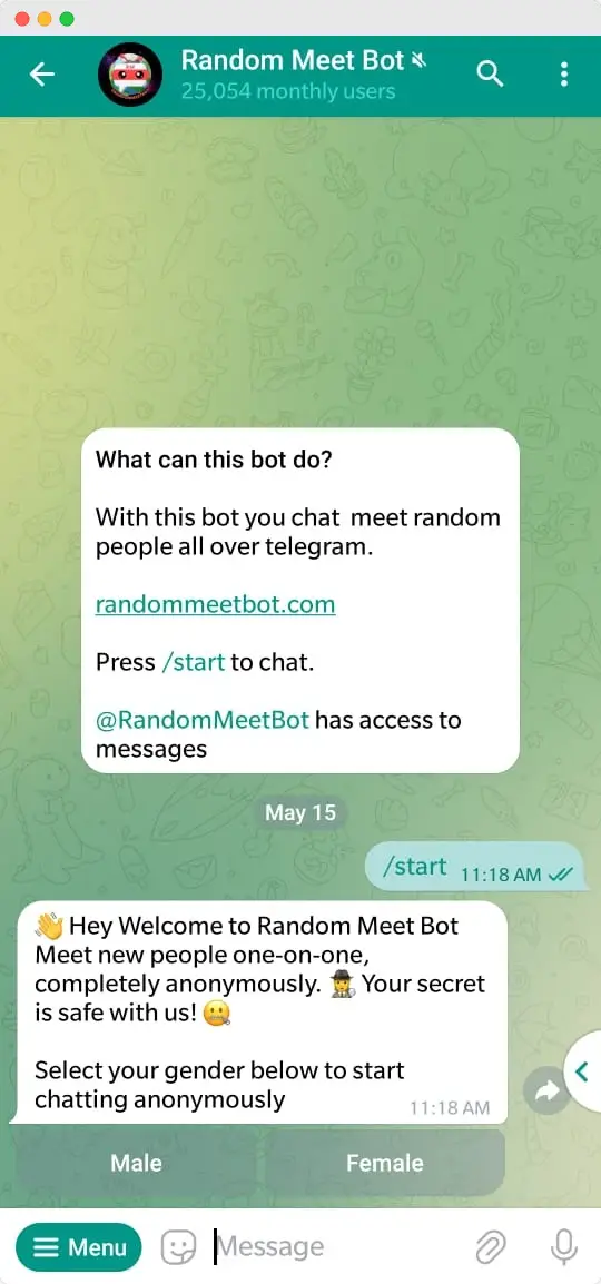 Random Meet Bot